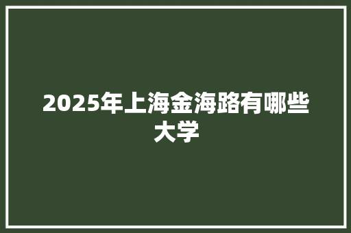 2025年上海金海路有哪些大学