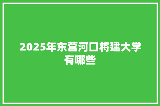 2025年东营河口将建大学有哪些