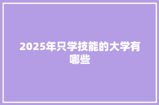 2025年只学技能的大学有哪些