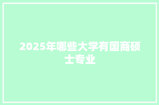 2025年哪些大学有国商硕士专业