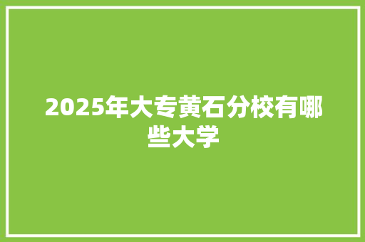 2025年大专黄石分校有哪些大学