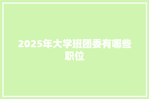2025年大学班团委有哪些职位