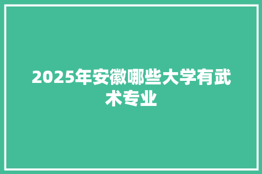 2025年安徽哪些大学有武术专业