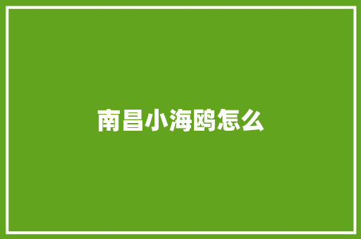 南昌小海鸥怎么