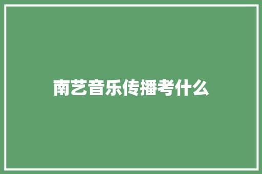 南艺音乐传播考什么