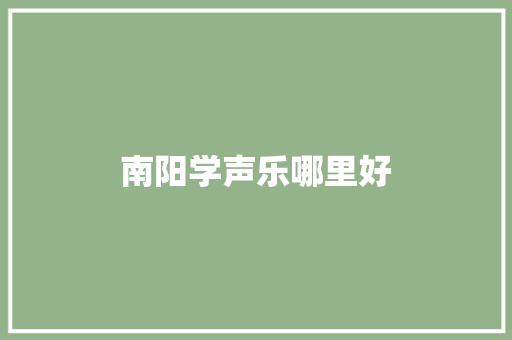 南阳学声乐哪里好