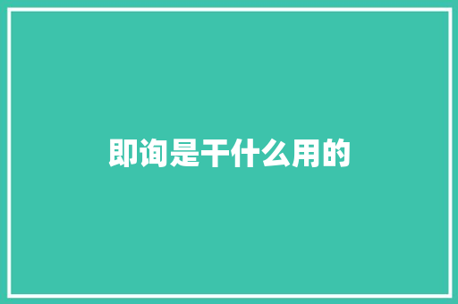即询是干什么用的 项目报告