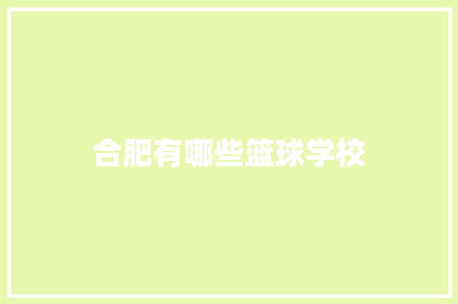 合肥有哪些篮球学校