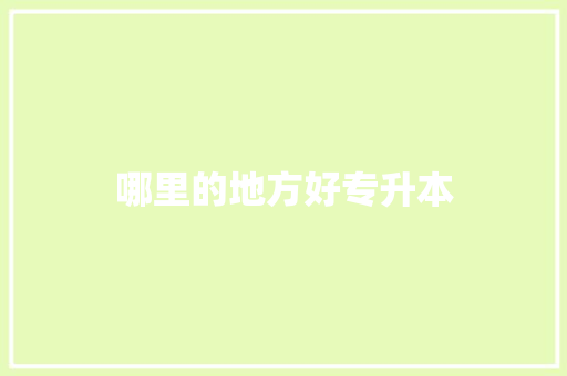 哪里的地方好专升本