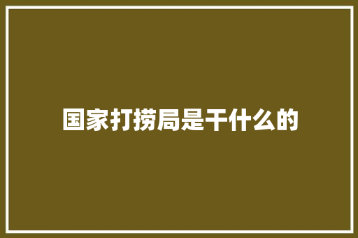 国家打捞局是干什么的