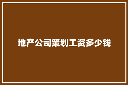 地产公司策划工资多少钱