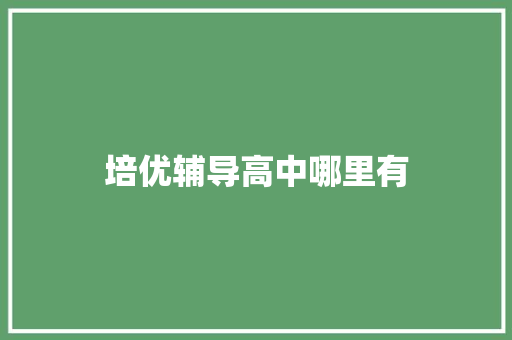 培优辅导高中哪里有
