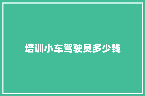 培训小车驾驶员多少钱