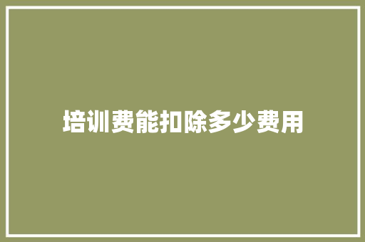 培训费能扣除多少费用 工作总结