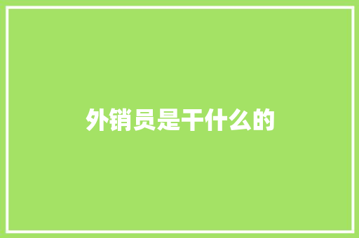 外销员是干什么的