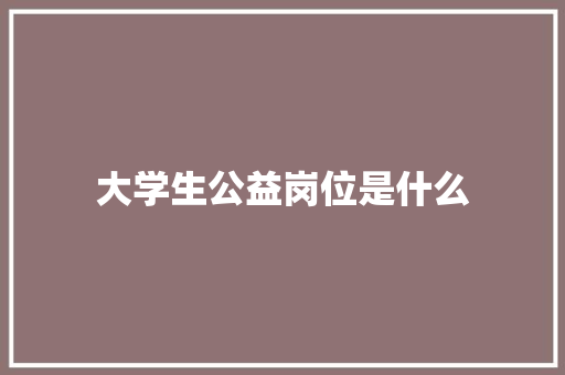 大学生公益岗位是什么