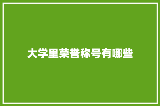 大学里荣誉称号有哪些 社交媒体