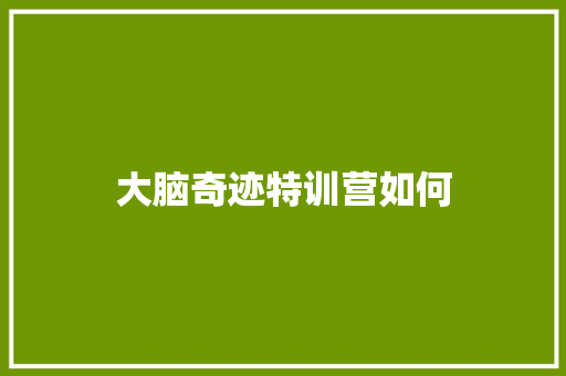 大脑奇迹特训营如何