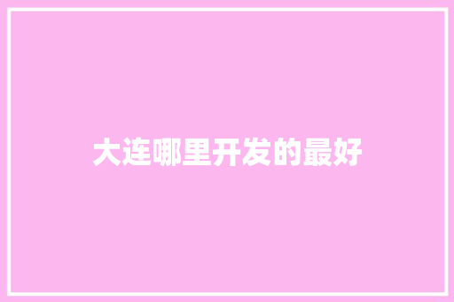 大连哪里开发的最好