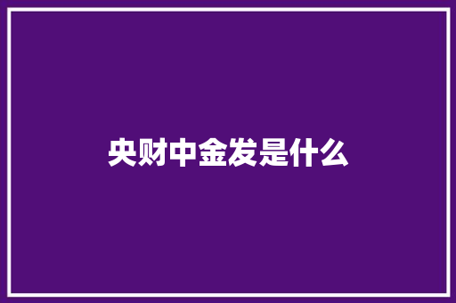 央财中金发是什么