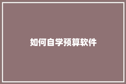 如何自学预算软件
