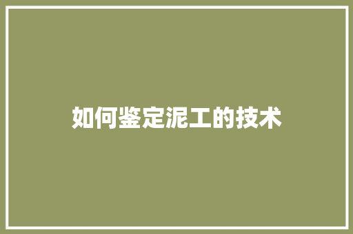 如何鉴定泥工的技术
