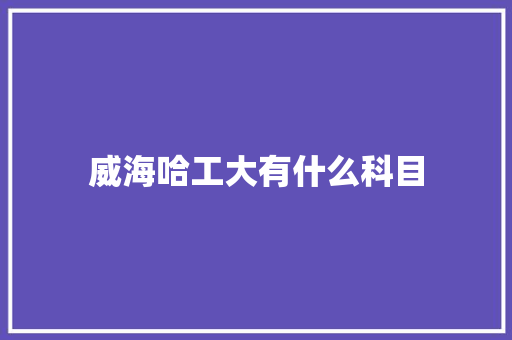 威海哈工大有什么科目