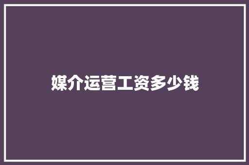 媒介运营工资多少钱