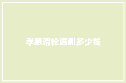 孝感滑轮培训多少钱
