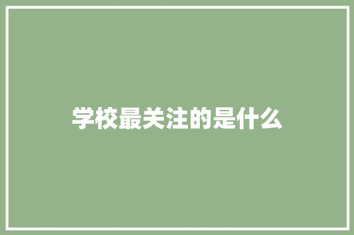 学校最关注的是什么