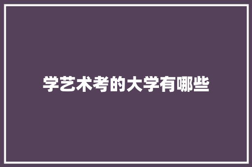 学艺术考的大学有哪些 项目报告