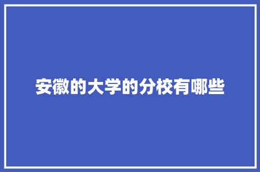 安徽的大学的分校有哪些