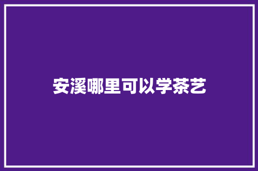 安溪哪里可以学茶艺
