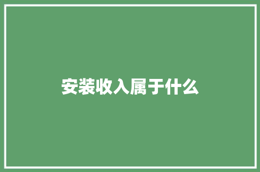安装收入属于什么 项目报告