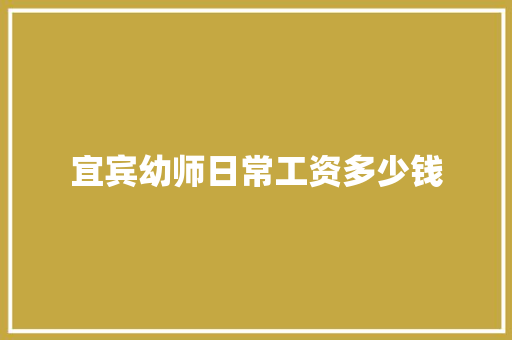 宜宾幼师日常工资多少钱