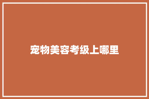 宠物美容考级上哪里