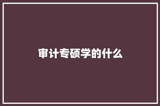 审计专硕学的什么