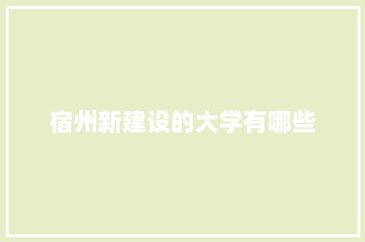 宿州新建设的大学有哪些