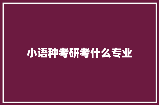 小语种考研考什么专业