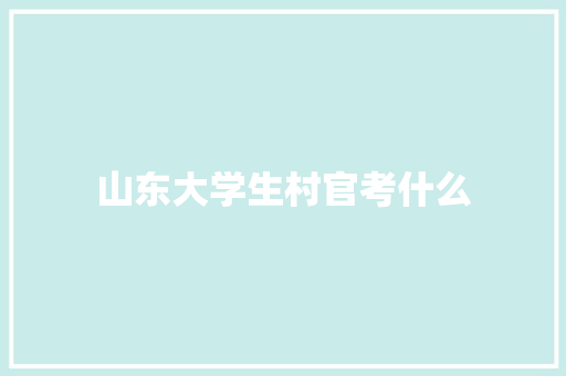 山东大学生村官考什么