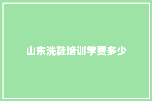 山东洗鞋培训学费多少