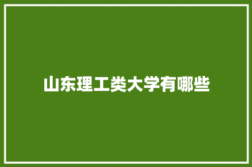山东理工类大学有哪些