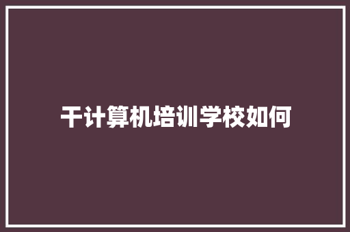 干计算机培训学校如何