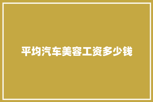 平均汽车美容工资多少钱