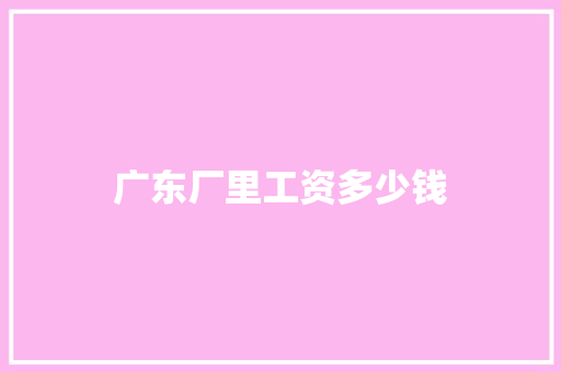 广东厂里工资多少钱 项目报告