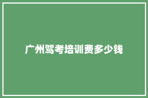 广州驾考培训费多少钱 项目报告