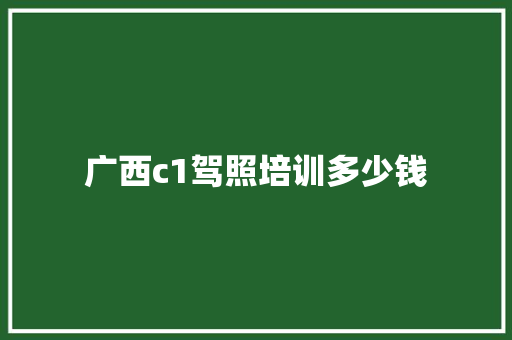 广西c1驾照培训多少钱