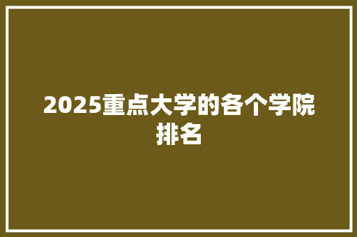 2025重点大学的各个学院排名
