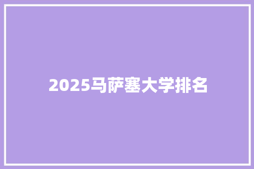 2025马萨塞大学排名
