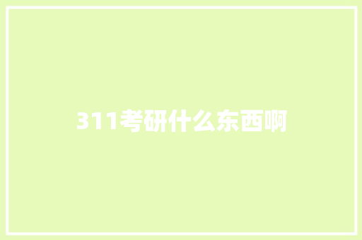 311考研什么东西啊